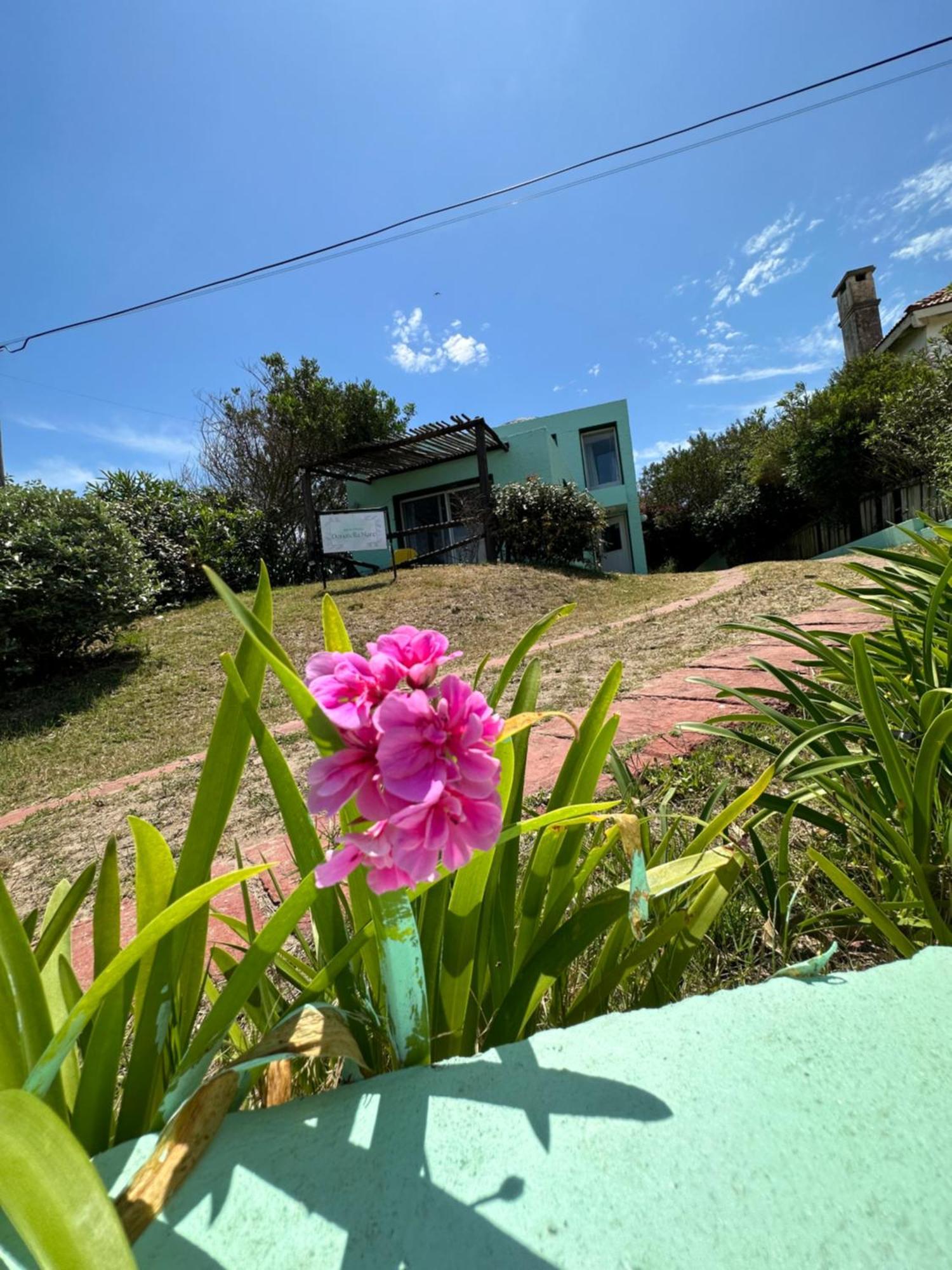 Hotel Beach La Barra Punta del Este Ngoại thất bức ảnh